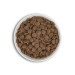 Era Centurion Adult Medium Large Breeds - Salmon & Venison - GRAIN FREE - 12kg